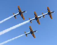 Aniversário de Santo Antônio do Jardim/SP: feira gastronômica, jogos, shows gratuitos e mais