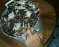 Caranguejada na cerveja a moda do Marçal