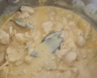 Estrogonofe sem tomate