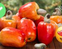 A maioria não sabe, mas o caju é uma fruta com benefícios surpreendentes!