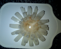 Blooming onion (cebola tipo outback)