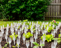 Pouca gente sabe, mas jardineiros experientes recomendam usar garfos de plástico na terra
