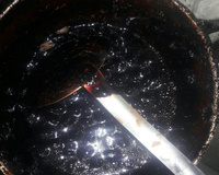 Amendoim doce super crocante