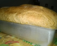 Pão integral especial da Gel