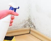 Como remover o mofo da parede e evitar que ele retorne? O TudoGostoso tem as dicas que vão te salvar durante a alta umidade no inverno