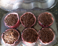 Cupcake de chocolate