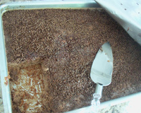 Toalha felpuda de chocolate