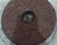 Brigadeirão (de forno)