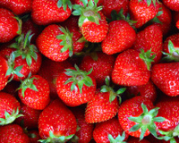 5 benefícios do morango com receitas imperdíveis