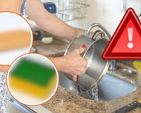 Esses 7 objetos de cozinha são os maiores acumuladores de fungos e bactérias que podem agredir a saúde
