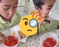 Criança pode comer pimenta? Vídeo de menino provando o ingrediente viraliza no Tiktok, mas surge a dúvida e TudoGostoso responde!