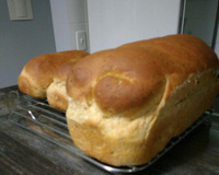 Pão caseiro integral fácil e prático de liquidificador