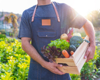 Tá muito caro! Quais são os alimentos orgânicos que realmente valem o investimento pelo bem da sua saúde?