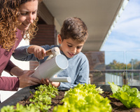 Mini-hortas em apartamento: o que você precisa saber antes de começar