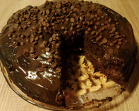 Bolo de chocolate integral