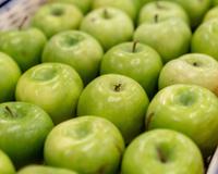 Conheça os principais benefícios da maçã verde e se surpreenda com o poder da fruta