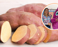 Enfermeira troca jaleco por enxada e vira referência no cultivo de batata-doce no Brasil: como Lucy Mara fez história no agro