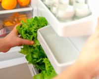 Nem água, nem pano úmido: descubra a melhor forma de conservar folhas na geladeira por mais tempo