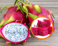 Pitaya: fruta é uma explosão de benefícios para quem quer emagrecer e cuidar da saúde (e deixar as receitas lindas!)