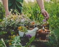 Plante no inverno, floresça na primavera: 8 plantas para quem quer ter flores no jardim o ano todo