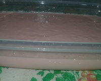 Sobremesa tipo danone caseiro