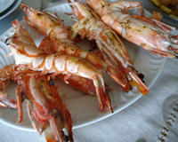 Camarão tigre dos deuses