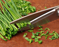 Tesoura de cozinha: 6 utilidades que irão te ajudar no dia a dia