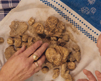 Festival gratuito em Brasília reúne cinema e alimentação: o que vai rolar no Slow Filme 2022