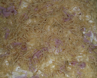 Big omelete de queijo