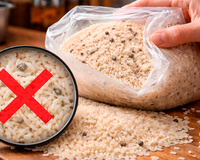 Cuidado! Se você notar esse detalhe no arroz, não cozinhe e jogue fora imediatamente