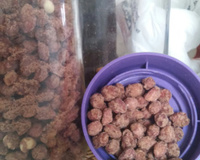 Amendoim com chocolates