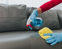 Dois especialistas em limpeza concordam: "Para limpar o sofá, você só precisa de uma xícara de água, um pouco de vinagre branco e uma colher de sopa de detergente."