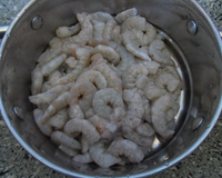 Camarão que rende à la Daninha