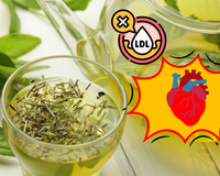O consumo de chá verde reduz os níveis de colesterol LDL (ruim) em pessoas de todos os pesos, diz a ciência