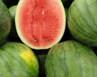 A melancia mais vermelha nem sempre é a mais doce: há um aspecto mais importante que só quem tem experiência sabe identificar
