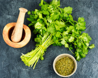 Frescas ou secas: como escolher as ervas aromáticas certas para dar mais sabor às sua receitas