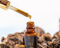 Própolis além da imunidade: como o fitoterápico ajuda no emagrecimento e na compulsão por doces. Veja os benefícios!