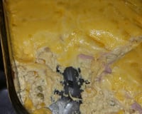 Frango com molho de requeijão light