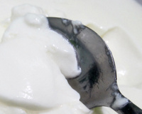 Iogurte de leite em pó