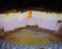 Torta casadinho