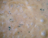 Camarão com requeijão cremoso e creme de leite