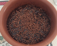 Bolo de caneca com calda super fácil