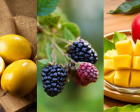 Manga, maracujá e amora: as 9 receitas mais deliciosas para aproveitar sobremesas com o melhor da estação