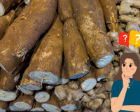 Como escolher mandioca: 8 dicas para nunca mais comprar aipim estragado ou passado