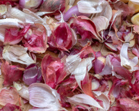 Você nunca mais vai jogar cascas de alho e cebola fora depois de aprender essa dica