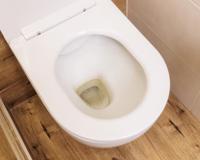 Já não sabia mais o que fazer para tirar as manchas do vaso sanitário até que aprendi esse truque muito simples