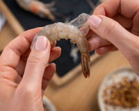 Acredite ou não, o animal mais criado em fazendas no mundo não é a galinha, o porco ou o peixe: é o camarão