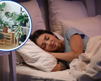 Agora eu durmo como um bebê: passei a cultivar plantas calmantes em casa e minhas noites de sono melhoraram