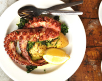 Como limpar polvo: veja as dicas práticas do TudoGostoso