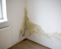 Adeus manchas nas paredes e tetos: solução potente com um ingrediente simples absorve a umidade de casa no outono